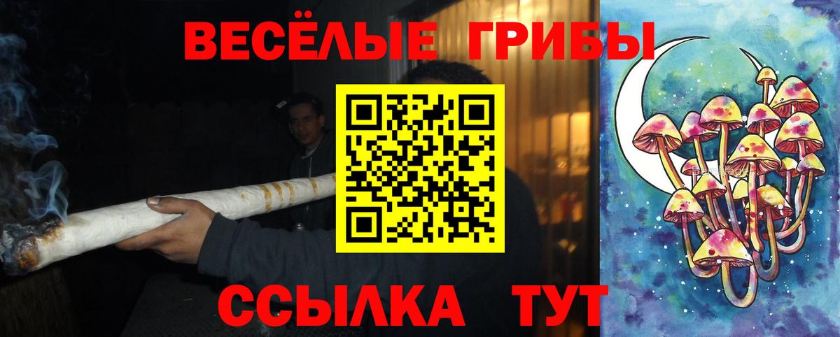 Зерноград  Галлюциногенные грибы MAGIC MUSHROOMS  Вход с VPN  Галлюциногенные грибы мицелий 